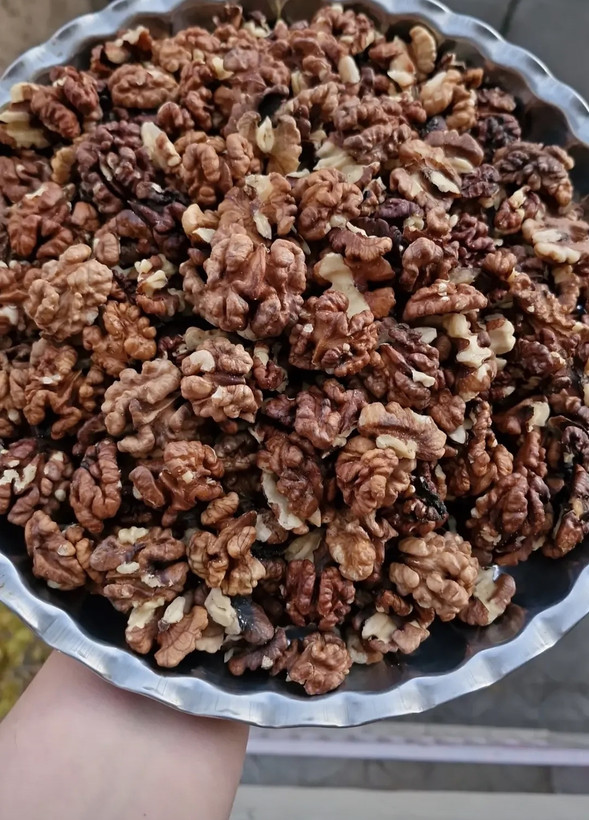مغزفسنجون تویسرکان