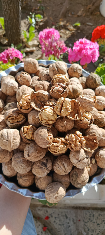 گردو درجه یک تویسرکان 80درصد سفید