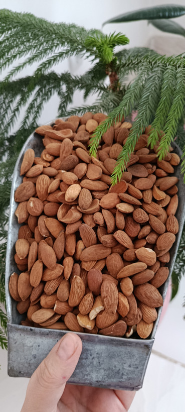 مغز بادام درختی ایرانی