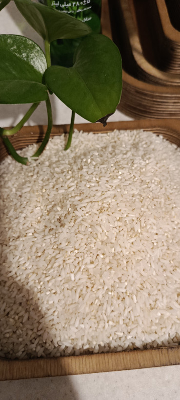 برنج لاشه عطری درود